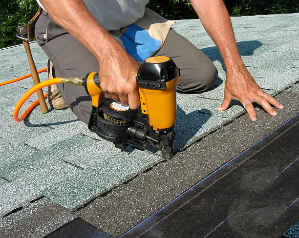 Best Local Roofing Companies  in Robbinsdale, MN