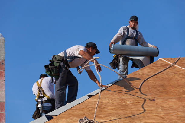 Best Storm Damage Roof Repair  in Robbinsdale, MN