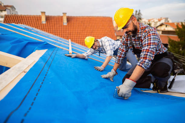 Quick and Trustworthy Emergency Roof Repair Services in Robbinsdale, MN